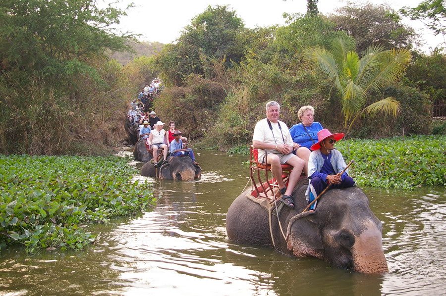 Learn about the Thai elephant way of life and get close to nature 201711150516ad94f59a3524a53bc9871d1b2c00095707