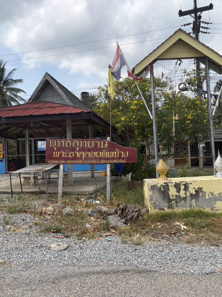 s 9338894