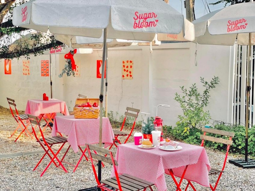 Sugar Bloom: The Vibrant American Retro Vibes SUGAR BLOOM