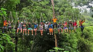 Exciting adventure activities surrounded by lush green nature. images (37)