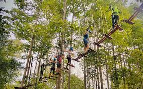 Exciting adventure activities surrounded by lush green nature. images (38)