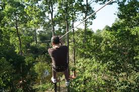Exciting adventure activities surrounded by lush green nature. images (39)