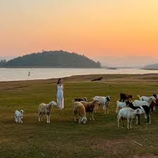 Panoramic Views at Pranburi Dam (The New Zealand of Thailand) จุดชมวิวท้ายเขื่อนปราณบุรี